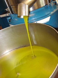 Freshly pressed olive oil.